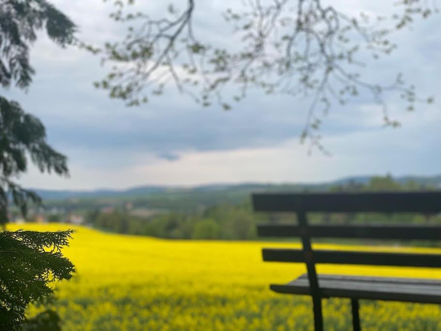 Familienfreundliches Landhaus "Karin" Mit Pool Struppen Екстериор снимка