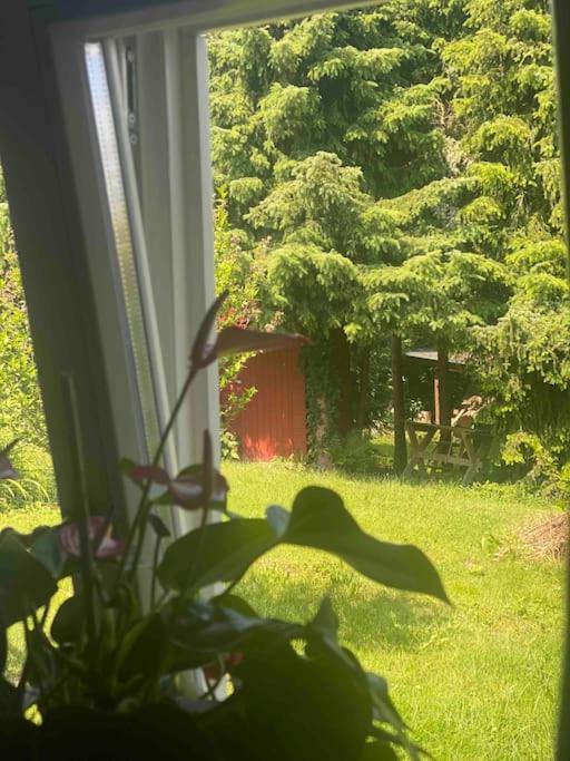 Familienfreundliches Landhaus "Karin" Mit Pool Struppen Екстериор снимка